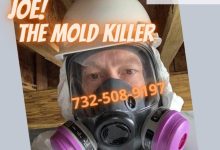 Mold Removal: Safeguarding Your Home and Health